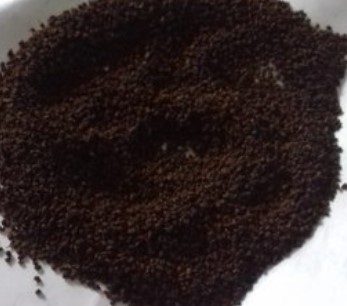 New Handyman AMP HTML Template